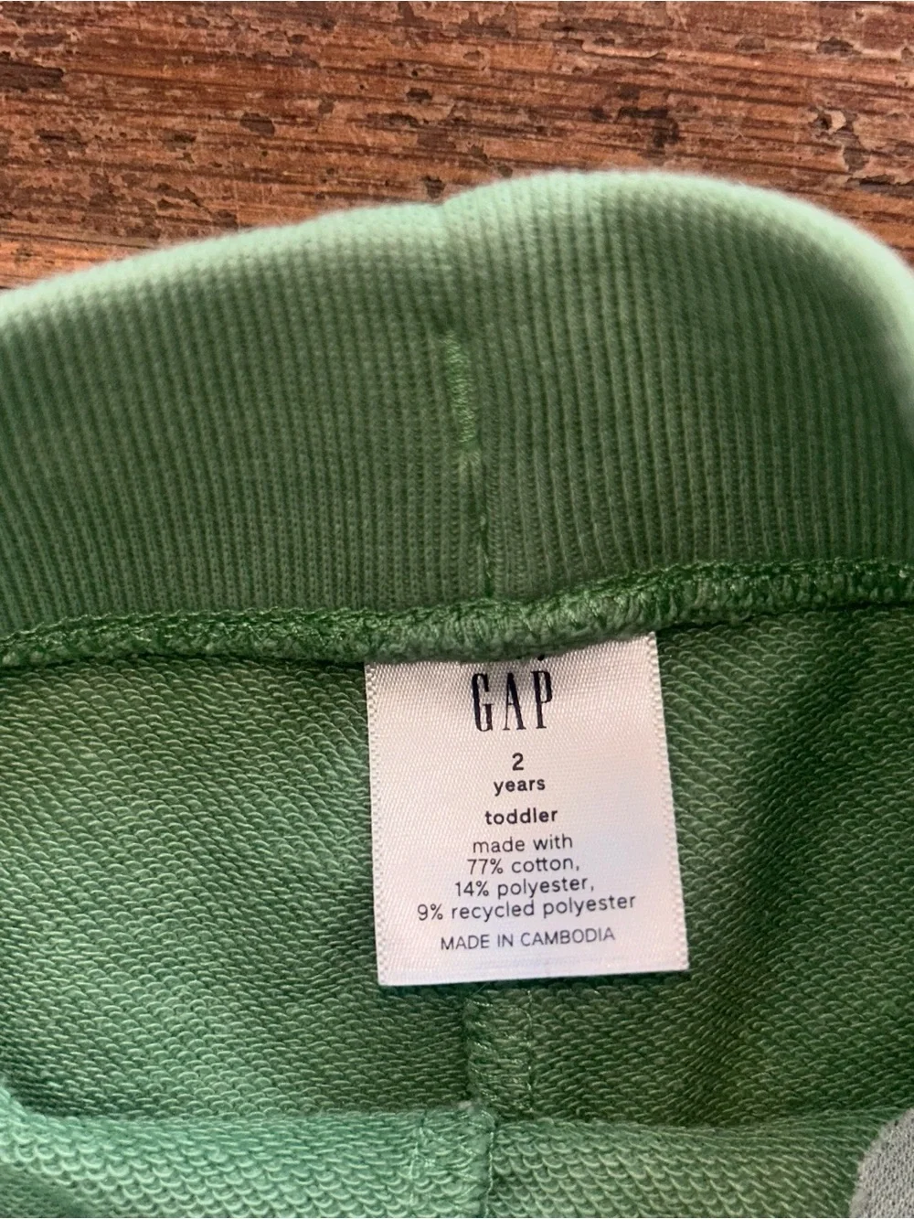 GAP Kids Green Dino Print Hoodie & Jogger Set